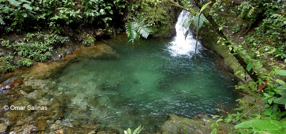Charcos profundos Valle del Cauca Quebrada Pericos