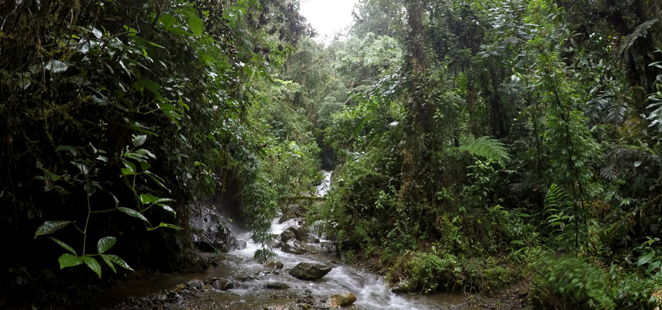 Lugares naturales Valle del Cauca