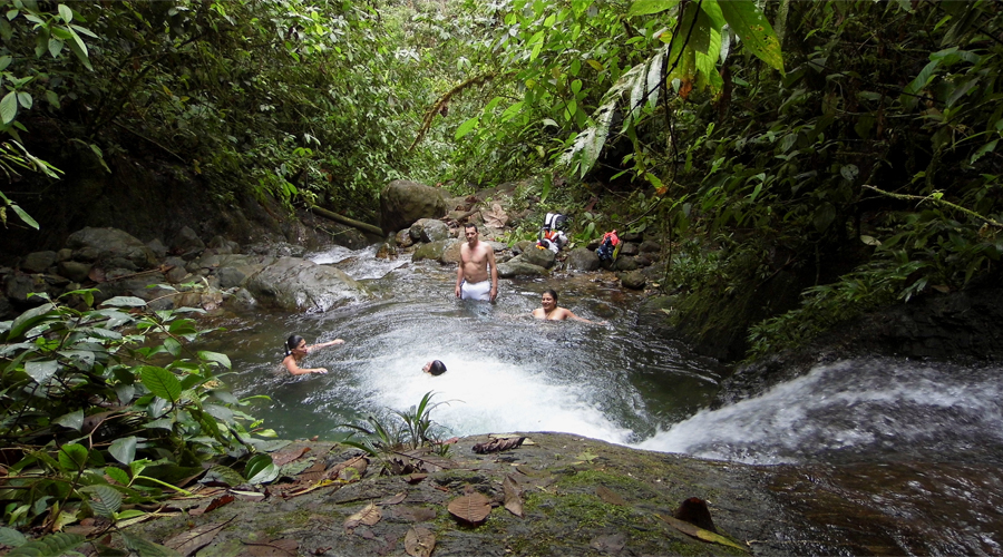Quebrada Pericos Picoloro Ecoturismo