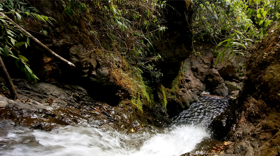 Las Pailas Jamundí Quebrada El Oso Picoloro Ecoturismo