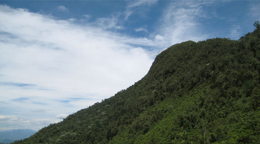 El Mirador de Vélez