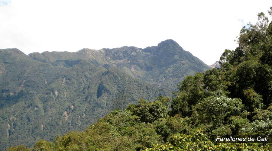 El Mirador de Vélez