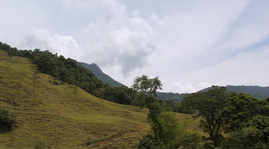 El Mirador de Vélez