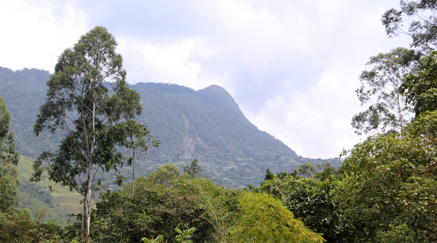 El Mirador de Vélez