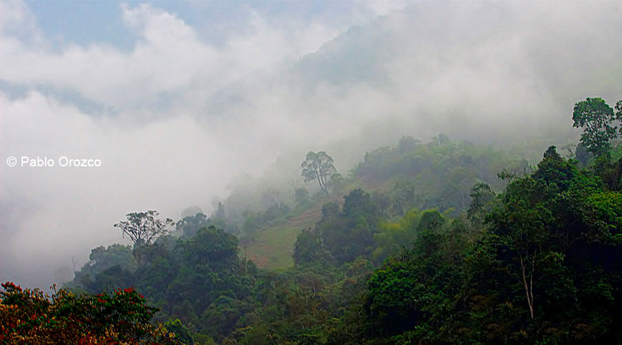 Cascada la Esmeralda
