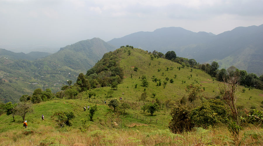 El Calvito