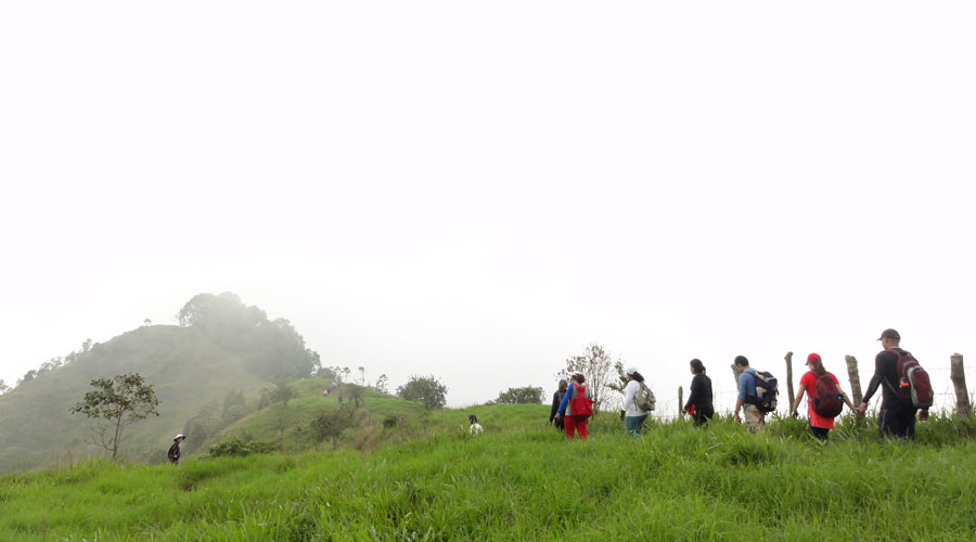 El Calvito