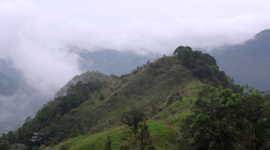 El Calvito