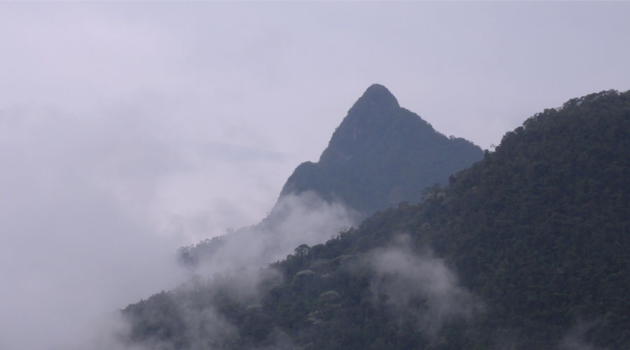 El Calvito
