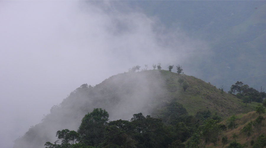 El Calvito