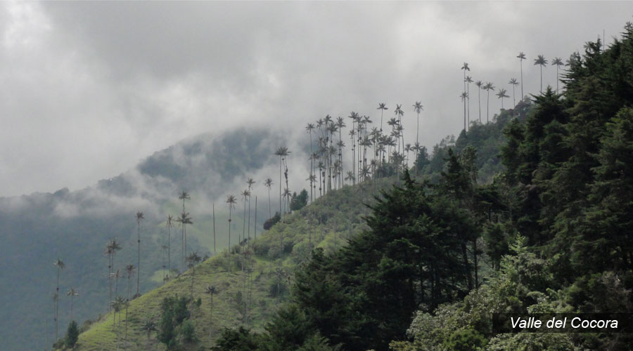 Nevado del Tolima (4 días)