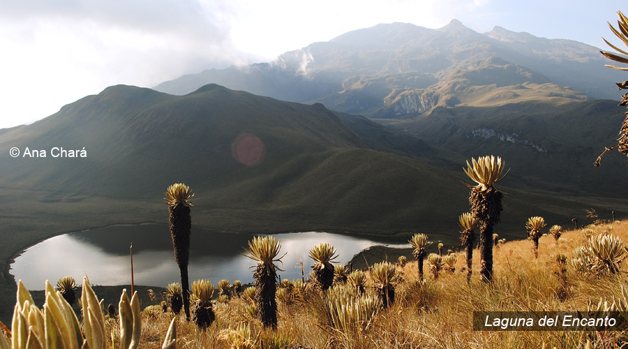 Nevado del Tolima (4 días)