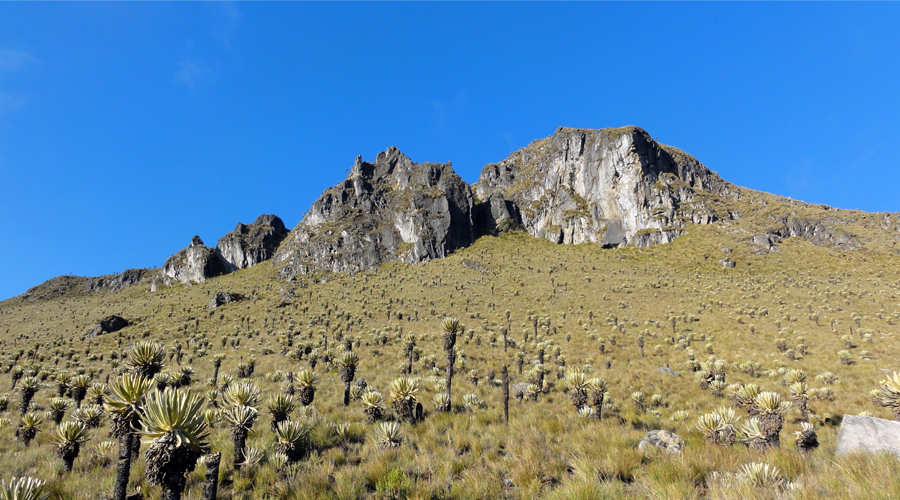 Nevado del Tolima (4 días)