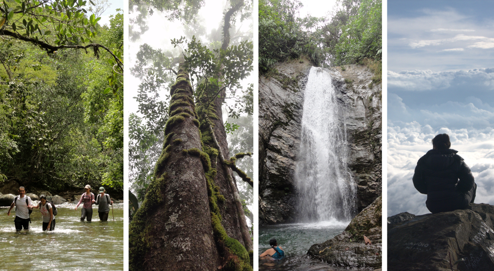 Actividades de Naturaleza en Cali