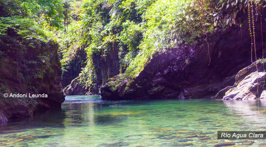 Travesía Pacífico: entre ríos, cascadas y selva