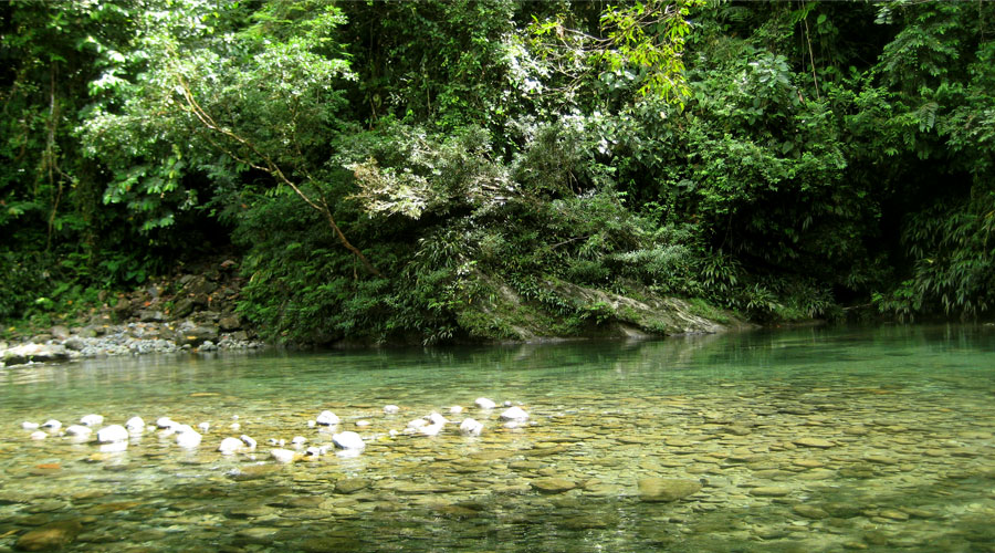 Agua Clara