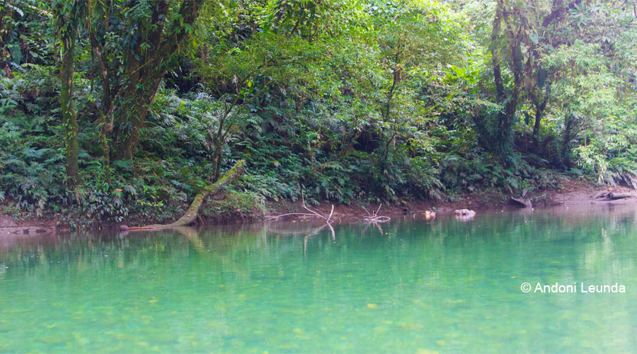 Agua Clara