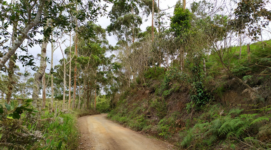 Alto del Indio