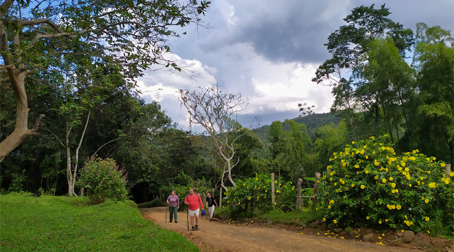 La Arboleda Errante