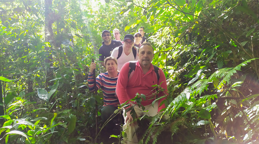 La Arboleda Errante