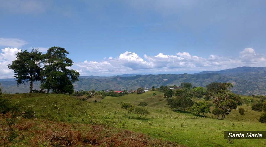 El Bosque de Santa María