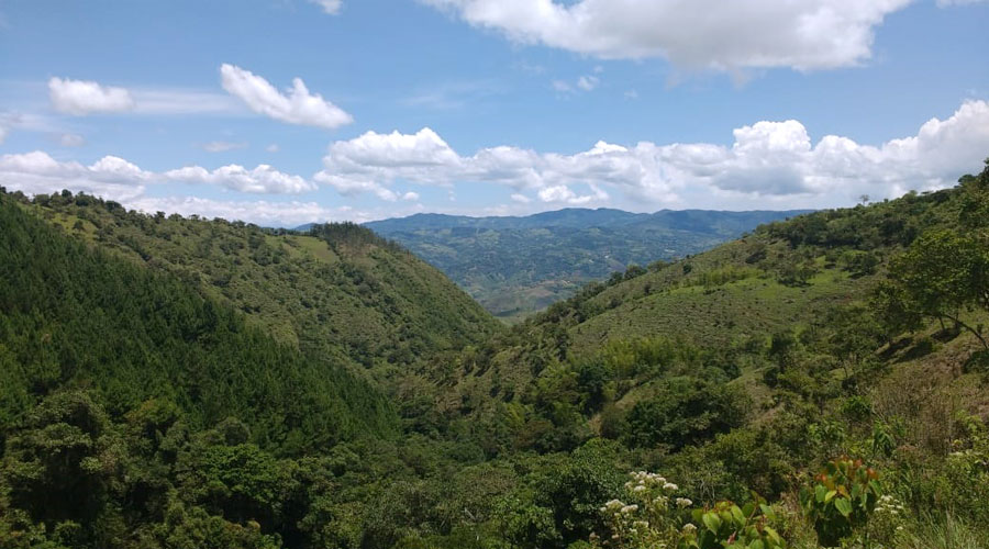 El Bosque de Santa María