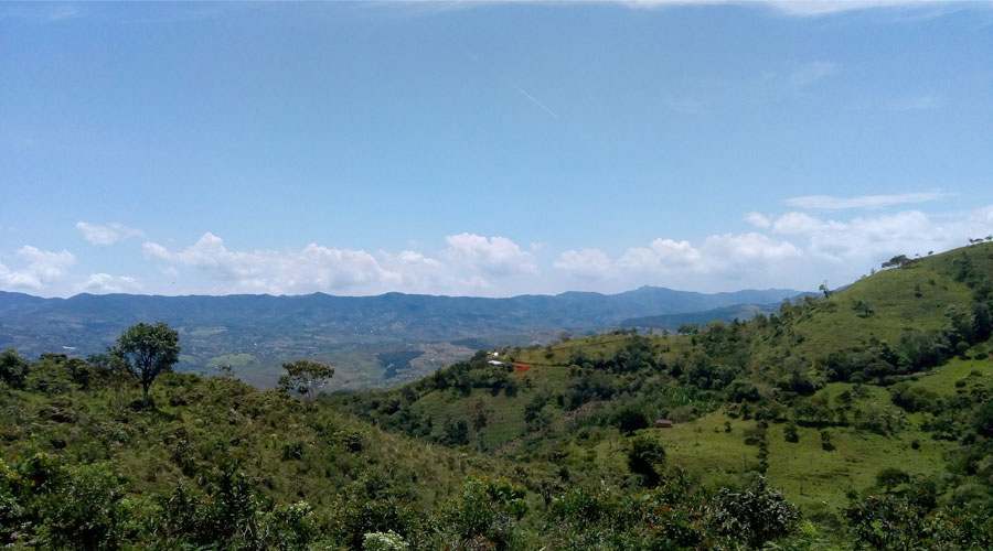 El Bosque de Santa María