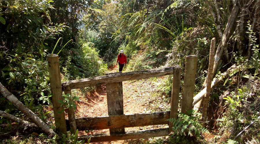 El Bosque de Santa María