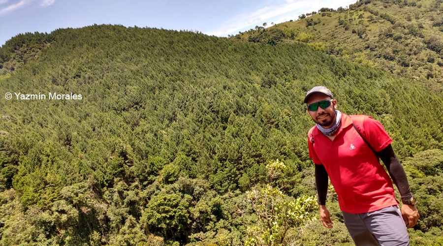 El Bosque de Santa María