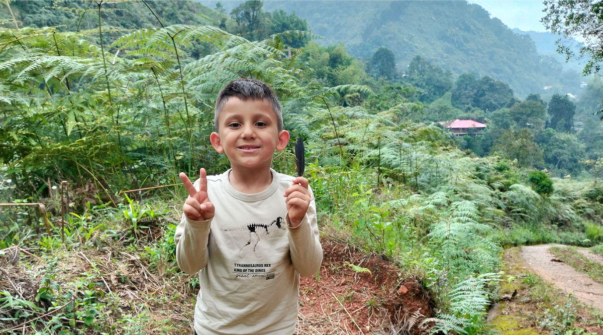 Caminata para niños