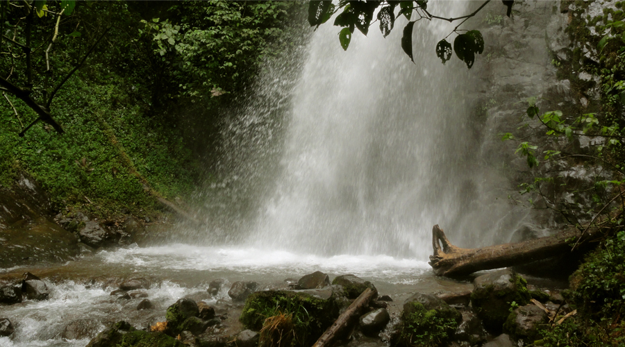 Cascada del Alemán
