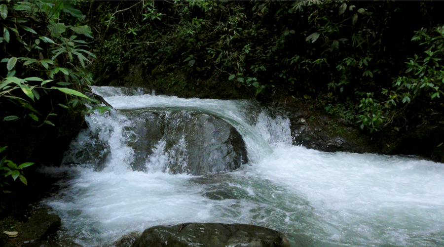 Cascada del Alemán