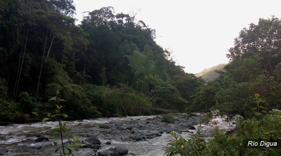 Cascada Manto de la Virgen