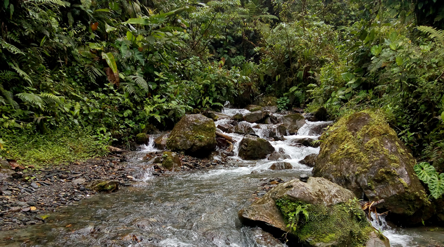 Cascadas: Los Remedios y El Manto de la Virgen