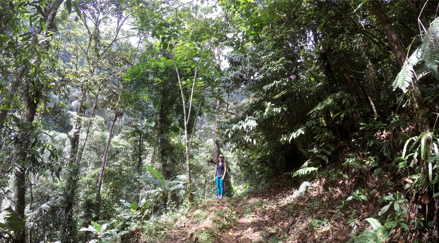Cascada las 3H
