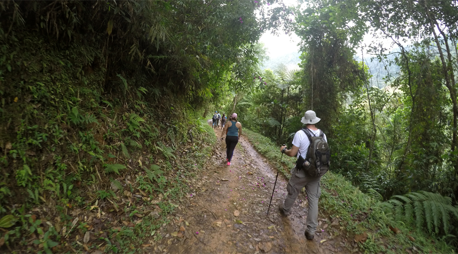 Cascada las 3H