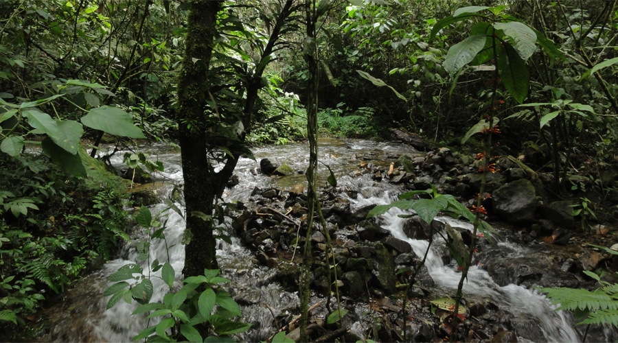 Cascada las 3H