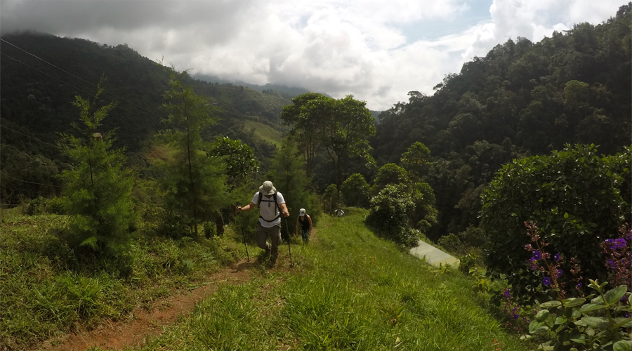 Cascada las 3H