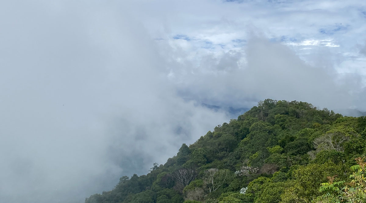 Montañuelas