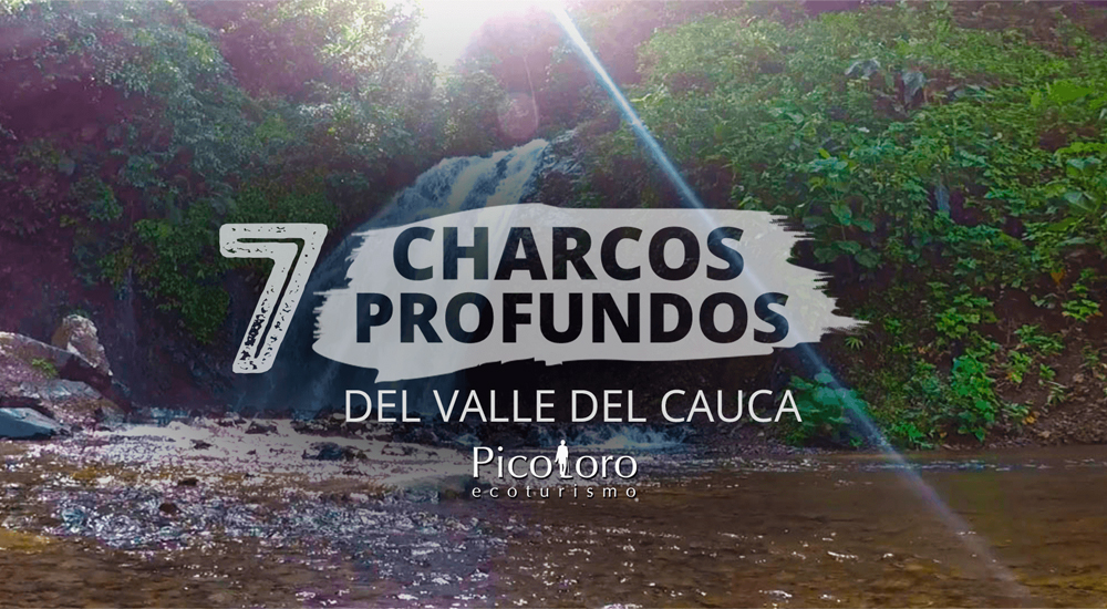 7 Charcos profundos del Valle de Cauca
