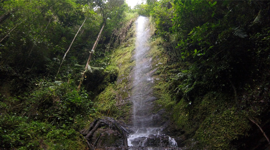 Las Cascadas de Pelongo