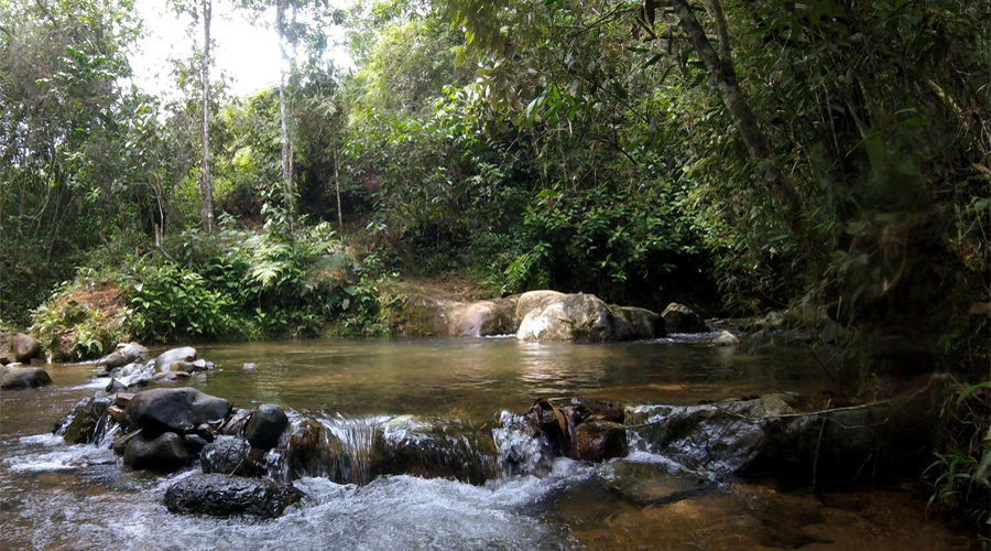 Las Cascadas de Pelongo