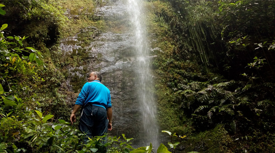 Las Cascadas de Pelongo