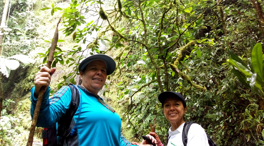 Las Cascadas de Pelongo