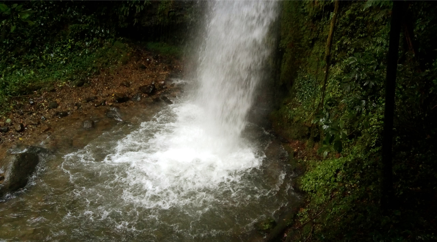 Las Cascadas de Pelongo