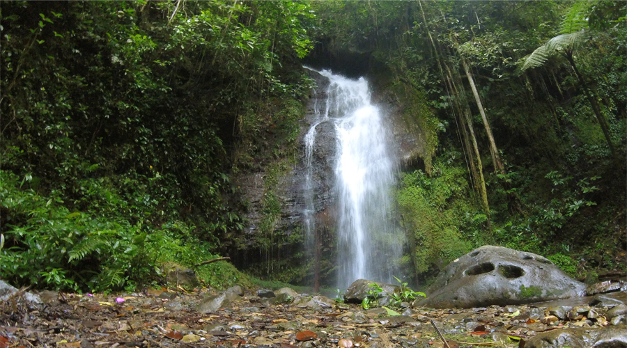 Las Cascadas de Pelongo
