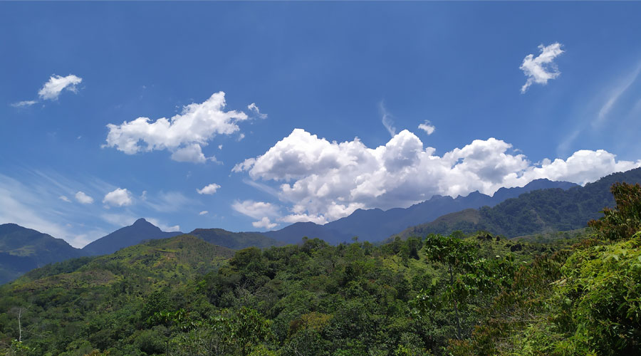 Las Cascadas de Pelongo