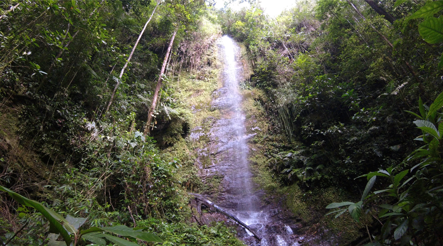 Las Cascadas de Pelongo