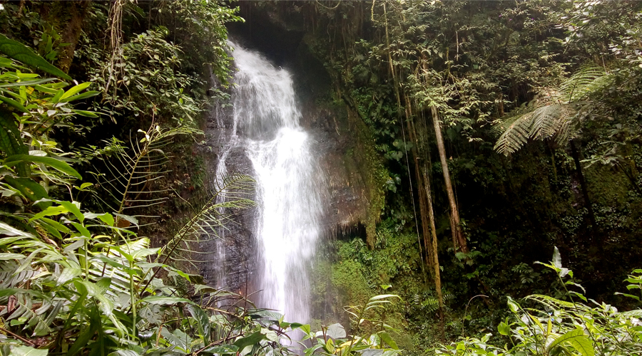 Las Cascadas de Pelongo