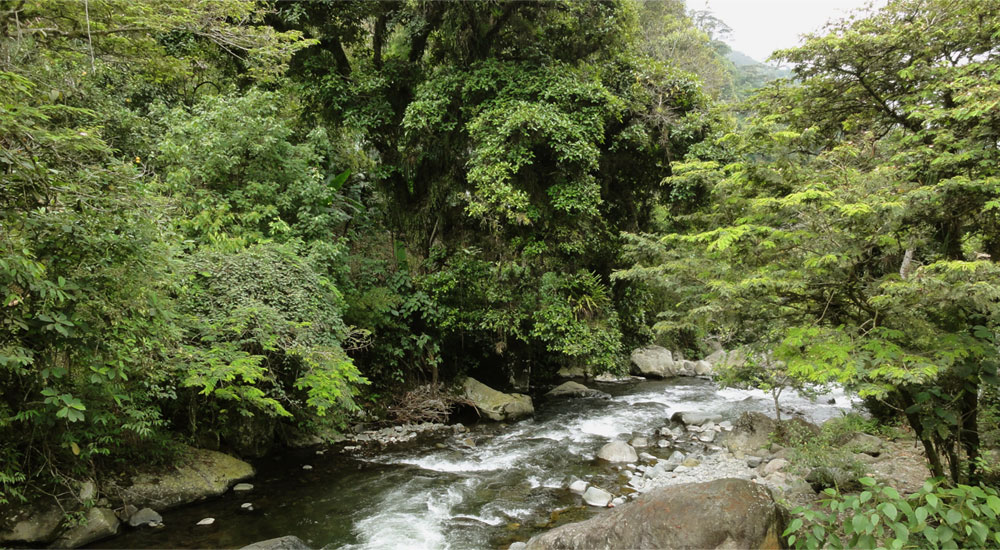 Río Pance, 25 kms de bellos parajes